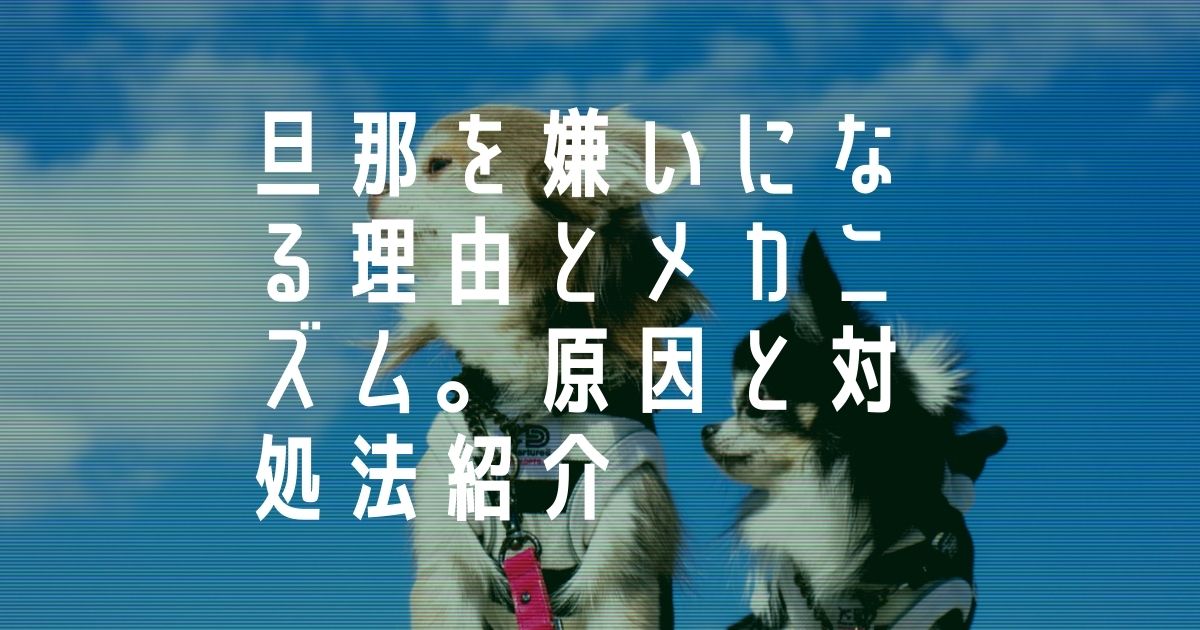 旦那を嫌いになる理由とメカニズムを解説 イライラの原因と対処法 Akasatina